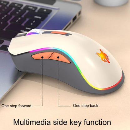 Maus Bluetooth XYH52